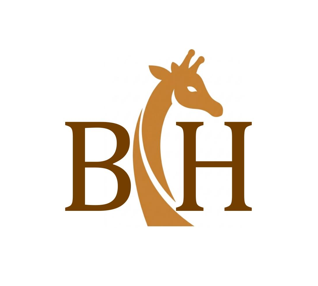 Bodhi Hub Logo